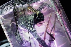 1420998263_395855_1420998792_noticia_normal